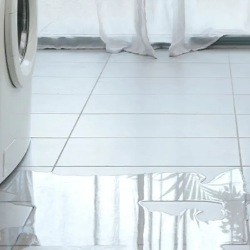 Appliance Leak Cleanup in Flagler Beach, FL